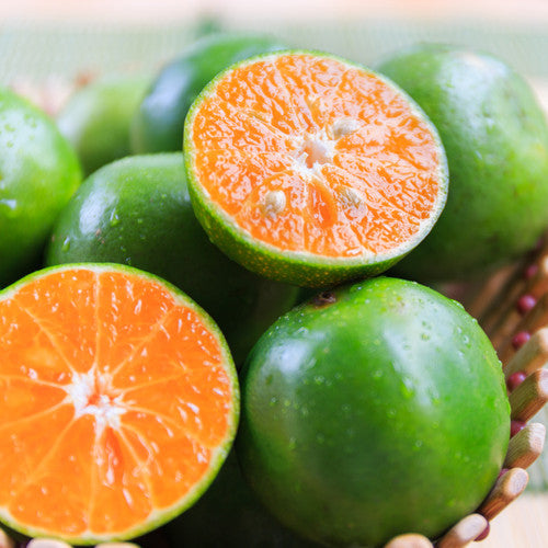 Calamansi Calypso Fragrance Oil - Zoom Media 1