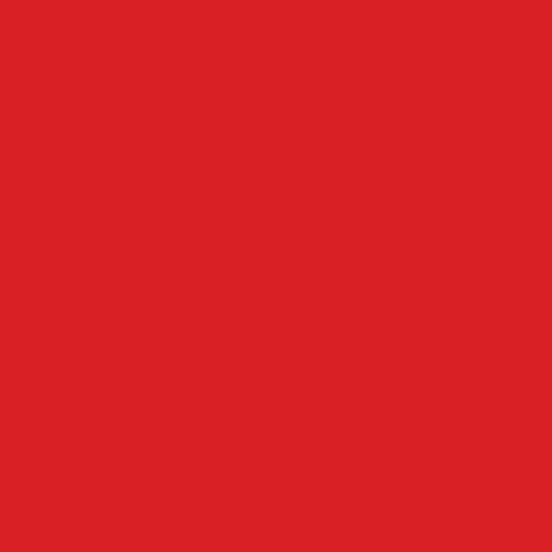 Red Dye Blocks - Zoom Media 2