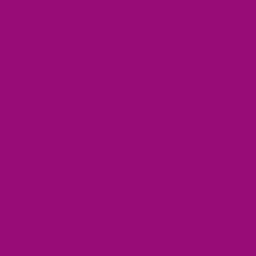 Raspberry Dye Blocks - Zoom Media 2