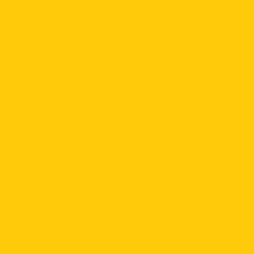Sunflower Yellow Dye Blocks - Zoom Media 2