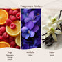 Berry Blue Fragrance Oil - Zoom Thumbnail Media 2