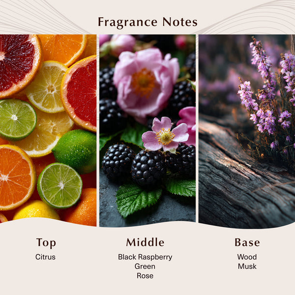 Black Raspberry Vanilla Fragrance Oil - Zoom Media 2