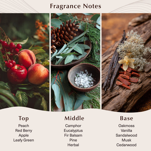 Blue Spruce Fragrance Oil - Zoom Media 2