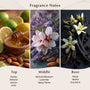 Almond & Honey Fragrance Oil - Zoom Thumbnail Media 2