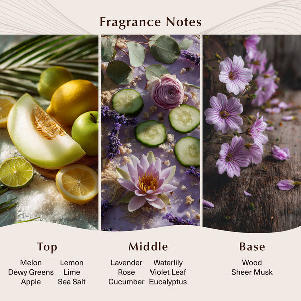 Beach Cabana Fragrance Oil - Zoom Media 2