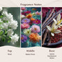 Amber Romance (Type) Fragrance Oil - Zoom Thumbnail Media 2