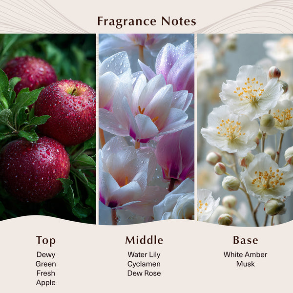 Beautiful Day (Type) Fragrance Oil - Zoom Media 2