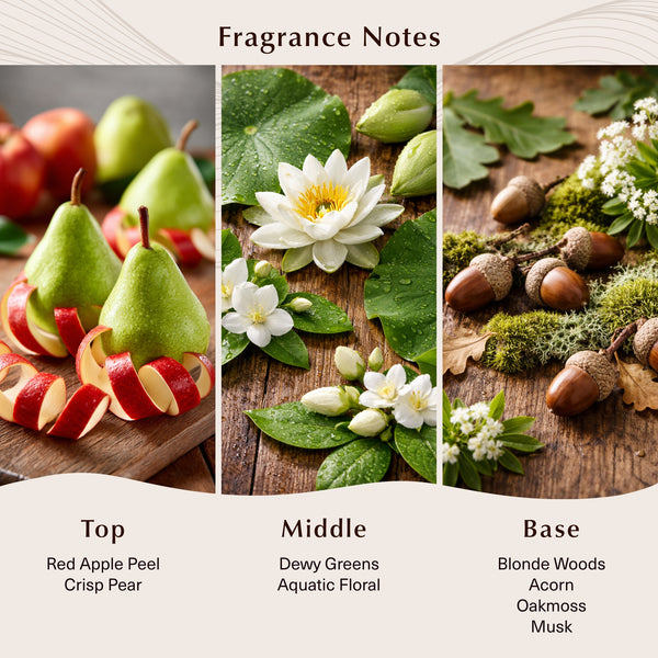 Apple Peel & Acorn Fragrance Oil - Zoom Media 2