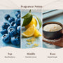 Blueberry Cake Pop Fragrance Oil - Zoom Thumbnail Media 2