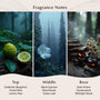 Black Cypress & Cedar Fragrance Oil - Zoom Thumbnail Media 2