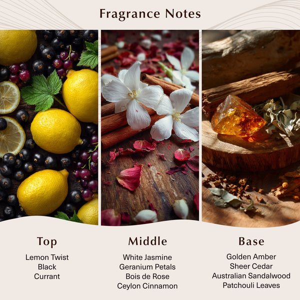 34 Boulevard Saint Germain (Type) Fragrance Oil - Zoom Media 2