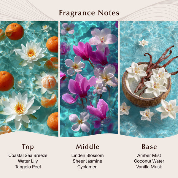 Blue Clarity Fragrance Oil - Zoom Media 2