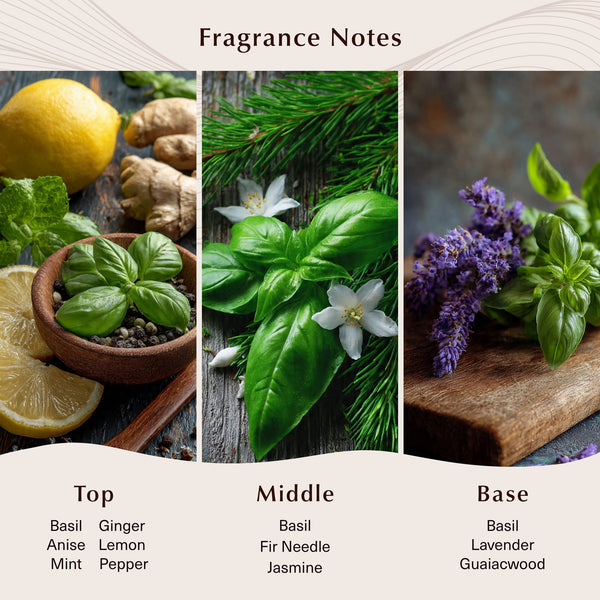 La Drouguerie (Type) Fragrance Oil - Zoom Media 2