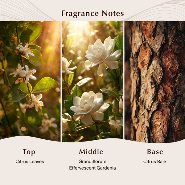 Fleur d'Oranger (Type) Fragrance Oil - Zoom Media 2