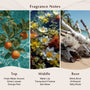 Sunset Lagoon Fragrance Oil - Zoom Thumbnail Media 2