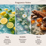 Coastline Glow Fragrance Oil - Zoom Thumbnail Media 2