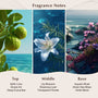 Veranda Breeze Fragrance Oil - Zoom Thumbnail Media 2