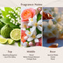 Solar Amber Fragrance Oil - Zoom Thumbnail Media 2