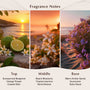 Bronzed Boardwalk Fragrance Oil - Zoom Thumbnail Media 2