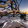Salted Citrus & Driftwood Fragrance Oil - Zoom Thumbnail Media 1