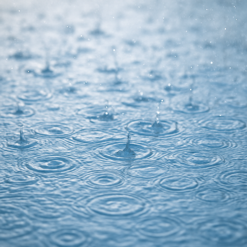 Rainwater Fragrance Note - Zoom Media 1