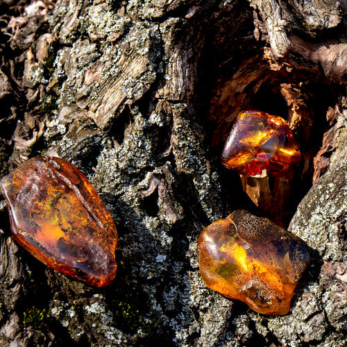 Amber & Oud Fragrance Oil - Zoom Media 1