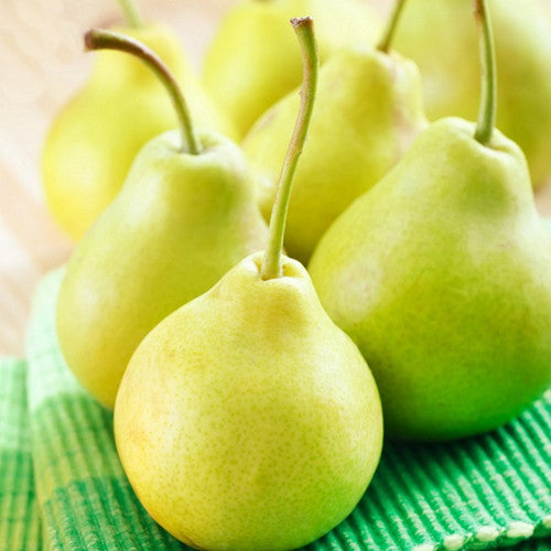 Bartlett Pear Fragrance Oil - Zoom Media 1