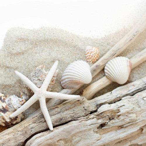 Beach Wood Fragrance Oil - Zoom Media 1