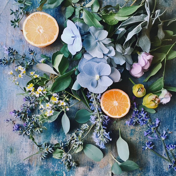 Blue Lavender & Bergamot Fragrance Oil - Zoom Media 1