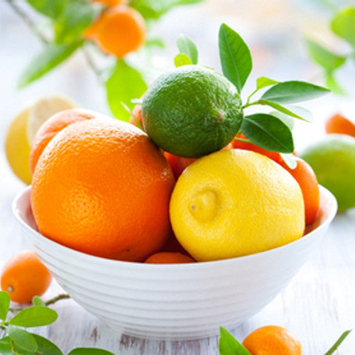 Citrus Odor Eliminator Fragrance Oil - Zoom Media 1