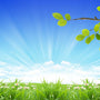 Clean Air Fragrance Oil - Zoom Thumbnail Media 1