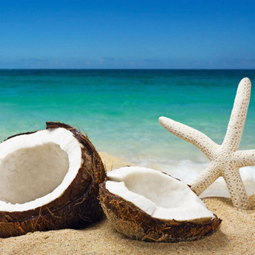 Coconut Bliss Fragrance Oil - Zoom Media 1