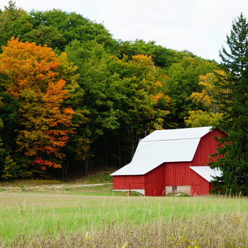 Fall Farmhouse (Type) Fragrance Oil - Zoom Media 1