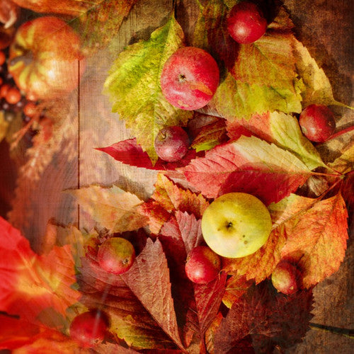 Fall Magic Fragrance Oil - Zoom Media 1