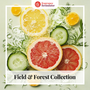 Field & Forest Collection - Zoom Thumbnail Media 1