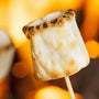 Fire Roasted Marshmallows Fragrance Oil - Zoom Thumbnail Media 1