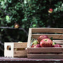 Honeycrisp Harvest Fragrance Oil - Zoom Thumbnail Media 1