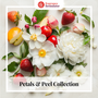 Petals & Peel Collection - Zoom Thumbnail Media 1