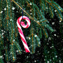 Pink Peppermint Snow Fragrance Oil - Zoom Thumbnail Media 1