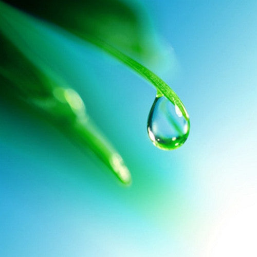 Rain Water Fragrance Oil - Zoom Media 1