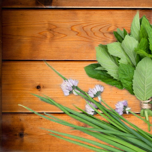 Red Cedar Fragrance Oil - Zoom Media 1