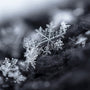 Shimmering Snowflake Fragrance Oil - Zoom Thumbnail Media 1