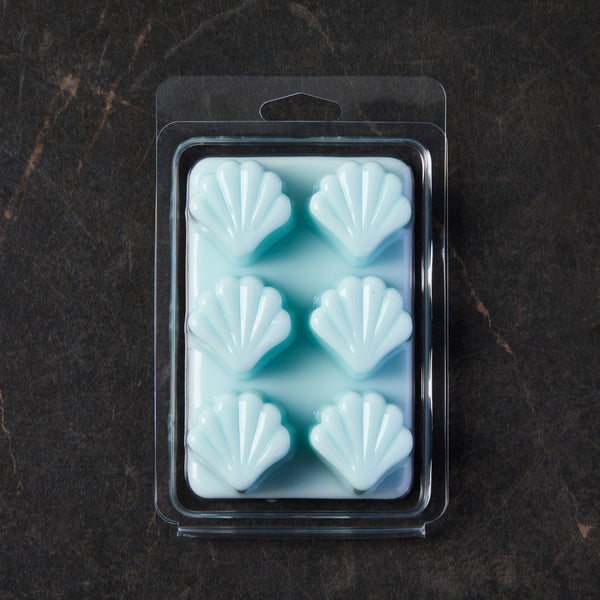 Wax Melt Clamshell Molds - Seashells - Zoom Media 2
