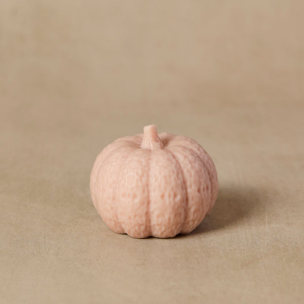 Silicone Pumpkin Mold - Zoom Media 1