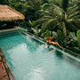 Tropical Dream Fragrance Oil - Zoom Thumbnail Media 1