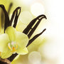 Very Vanilla Fragrance Oil - Zoom Thumbnail Media 1