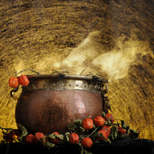 Witches Brew Fragrance Oil - Zoom Media 1