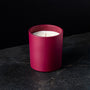Crushed Cranberries Tumbler Jar - 10 oz - Zoom Thumbnail Media 1