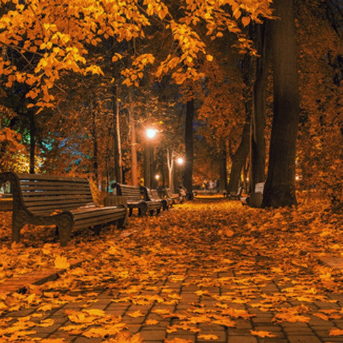 Autumn Night (Type) Fragrance Oil - Zoom Media 1