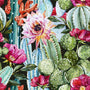 Baja Cactus Blossom (Type) Fragrance Oil - Zoom Thumbnail Media 1